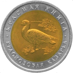 Аверс 10 рублей 1992 года ЛМД «краснозобая казарка»