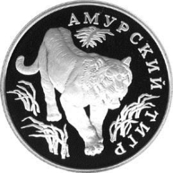 Реверс 1 рубль 1993 года ЛМД proof «Амурский тигр»