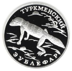 Реверс 1 рубль 1996 года ЛМД proof «Туркменский эублефар»