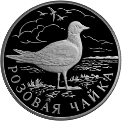 Реверс 1 рубль 1999 года СПМД proof «Розовая чайка»