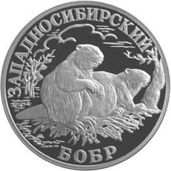 Реверс 1 рубль 2001 года СПМД proof «Западносибирский бобр»