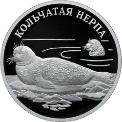 Реверс 1 рубль 2007 года СПМД proof «Кольчатая нерпа (ладожский подвид)»