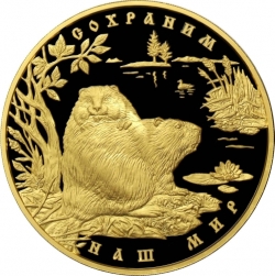 Реверс 10000 рублей 2008 года ММД proof «Речной бобр»