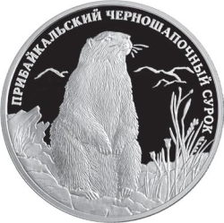 Реверс 2 рубля 2008 года СПМД proof «Прибайкальский черношапочный сурок»