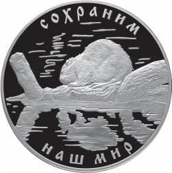 Реверс 25 рублей 2008 года СПМД proof «Речной бобр»
