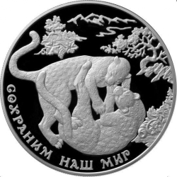 Реверс 25 рублей 2011 года ММД proof «Переднеазиатский леопард»